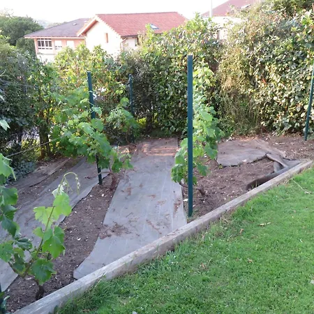 Гостевой дом La Casa De Tok-pok