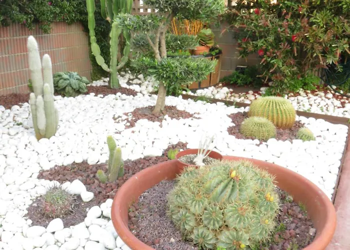 La Casa De Tok-pok Guest house 4*