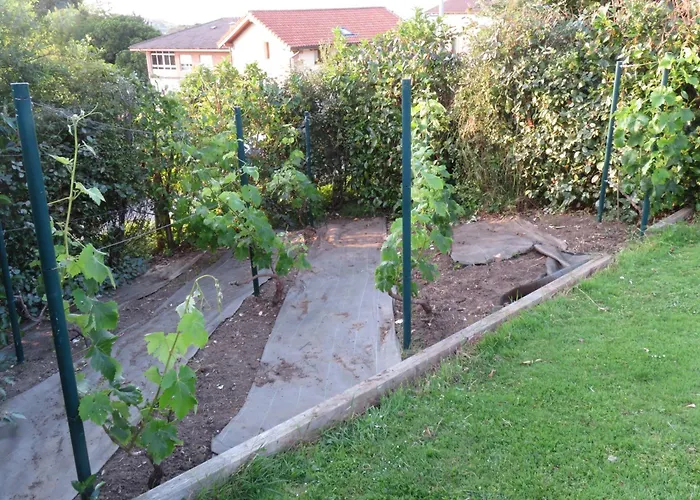 Guest house La Casa De Tok-pok