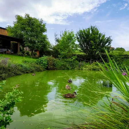 La Casa De Tok-pok Gasthof 4*